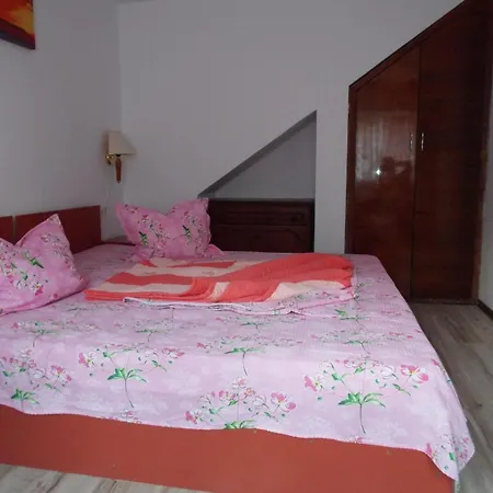 Guest house Brio *